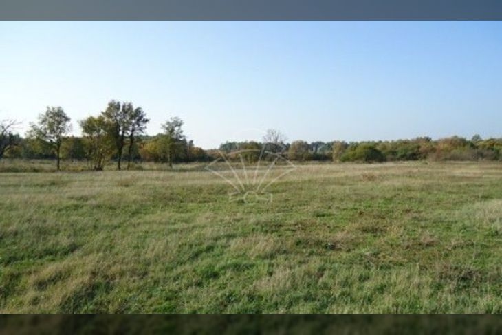 Poljoprivredno zemljište, Prodaja, Bale, Krmed