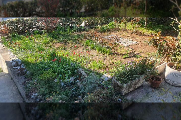 Samostojeća kuća, Prodaja, Rijeka, Zapad Samostojeća kuća, Prodaja, Rijeka, Zapad
