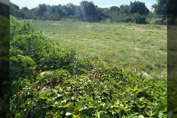 Građevinsko zemljište, Prodaja, Marčana, Kavran