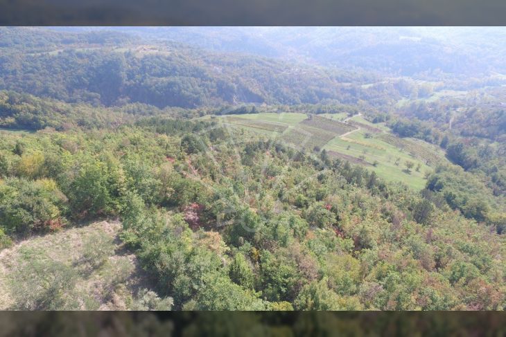 Poljoprivredno zemljište, Prodaja, Cerovlje, Draguć Poljoprivredno zemljište, Prodaja, Cerovlje, Draguć