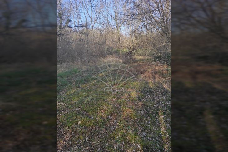 Poljoprivredno zemljište, Prodaja, Barban, Hrboki Poljoprivredno zemljište, Prodaja, Barban, Hrboki