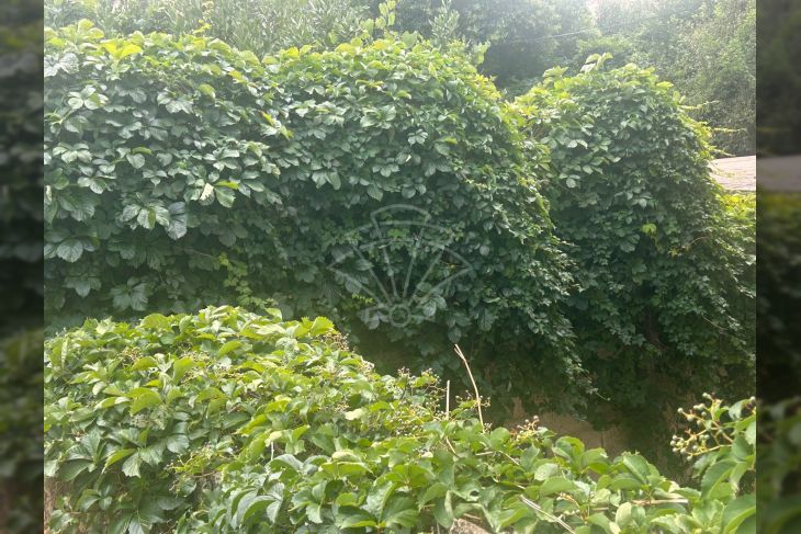 Građevinsko stambeno zemljište, Prodaja, Pula, Pula