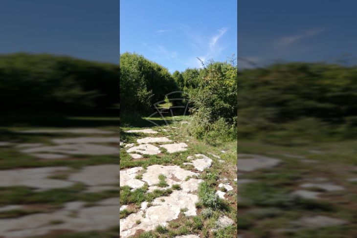Zemljište - ostalo, Prodaja, Kanfanar, Jural Zemljište - ostalo, Prodaja, Kanfanar, Jural