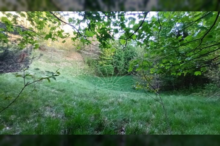 Poljoprivredno zemljište, Prodaja, Matulji, Šapjane Poljoprivredno zemljište, Prodaja, Matulji, Šapjane