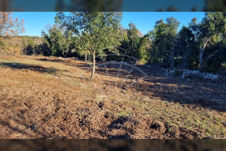 Poljoprivredno zemljište, Prodaja, Marčana, Kavran Poljoprivredno zemljište, Prodaja, Marčana, Kavran