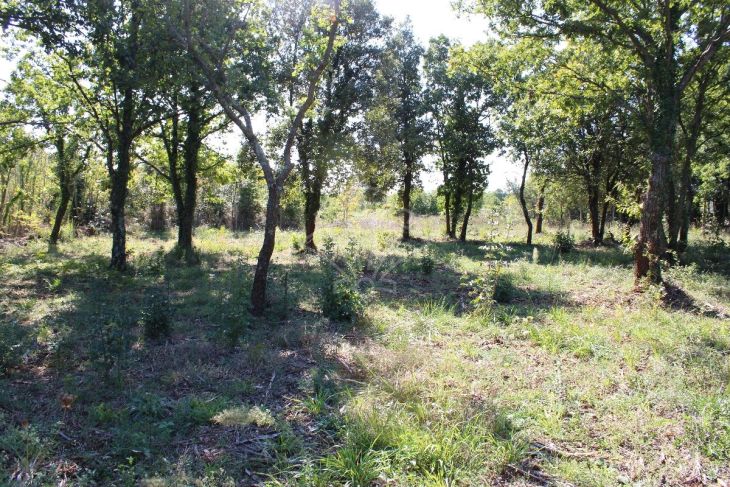 Građevinsko zemljište, Prodaja, Marčana, Rakalj Građevinsko zemljište, Prodaja, Marčana, Rakalj
