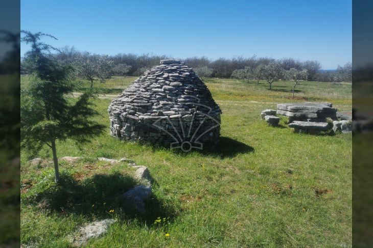 Poljoprivredno zemljište, Prodaja, Vodnjan, Vodnjan