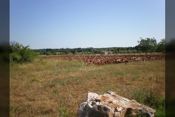 Građevinsko zemljište, Prodaja, Višnjan, Pršurići