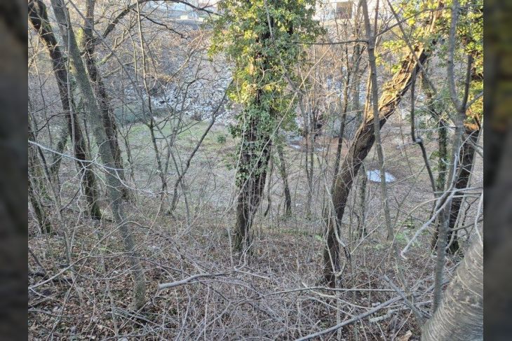 Građevinsko zemljište, Prodaja, Čavle, Čavle Građevinsko zemljište, Prodaja, Čavle, Čavle