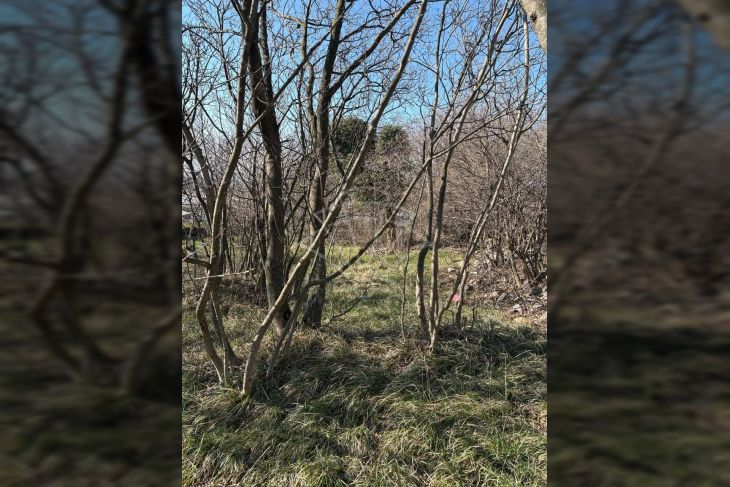 Građevinsko zemljište, Prodaja, Bakar, Kukuljanovo Građevinsko zemljište, Prodaja, Bakar, Kukuljanovo