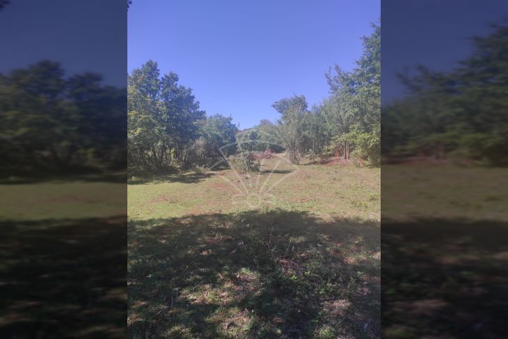 Poljoprivredno zemljište, Prodaja, Vodnjan, Vodnjan Poljoprivredno zemljište, Prodaja, Vodnjan, Vodnjan