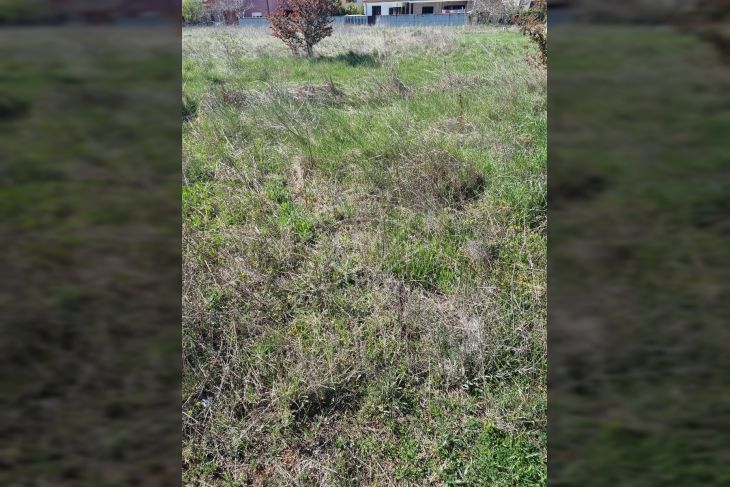 Građevinsko zemljište, Prodaja, Fažana, Valbandon Građevinsko zemljište, Prodaja, Fažana, Valbandon