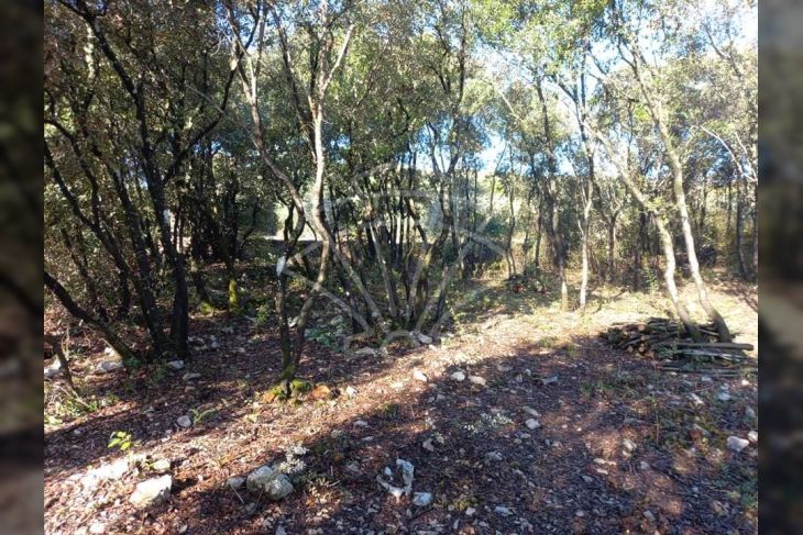 Poljoprivredno zemljište, Prodaja, Marčana, Peruški Poljoprivredno zemljište, Prodaja, Marčana, Peruški