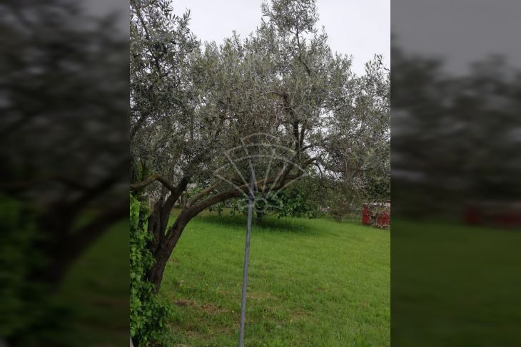 Građevinsko stambeno zemljište, Prodaja, Medulin, Medulin Građevinsko stambeno zemljište, Prodaja, Medulin, Medulin