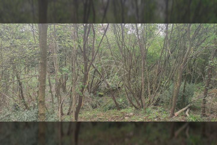Građevinsko zemljište, Prodaja, Viškovo, Sroki Građevinsko zemljište, Prodaja, Viškovo, Sroki