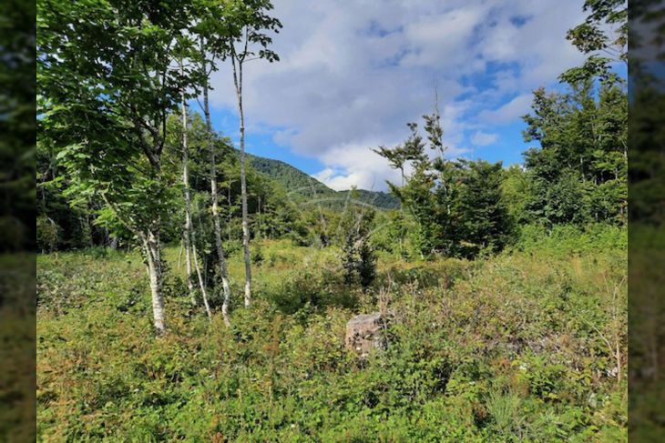 Građevinsko mješovito, Prodaja, Fužine, Lič