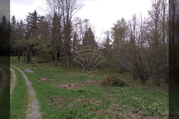 Poljoprivredno zemljište, Prodaja, Delnice, Crni Lug Poljoprivredno zemljište, Prodaja, Delnice, Crni Lug