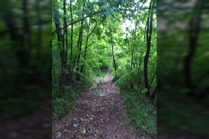 Poljoprivredno zemljište, Prodaja, Matulji, Rukavac Poljoprivredno zemljište, Prodaja, Matulji, Rukavac