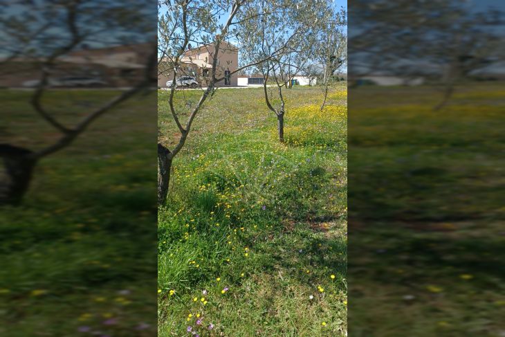 Građevinsko zemljište, Prodaja, Marčana, Divšići Građevinsko zemljište, Prodaja, Marčana, Divšići