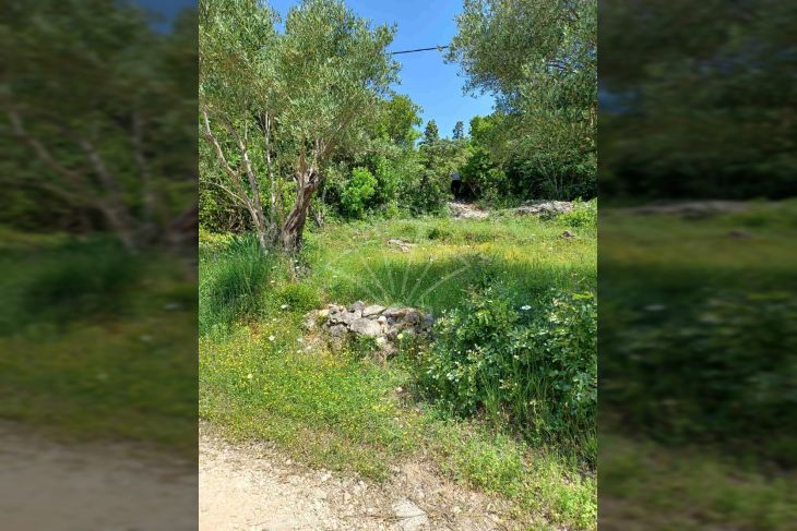 Poljoprivredno zemljište, Prodaja, Cres, Stivan Poljoprivredno zemljište, Prodaja, Cres, Stivan