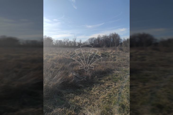 Građevinsko zemljište, Prodaja, Barban, Barban