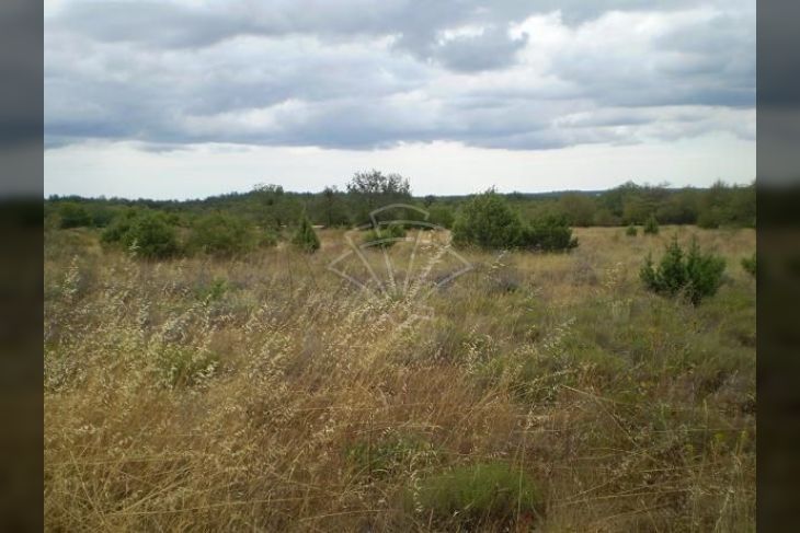 Poljoprivredno zemljište, Prodaja, Svetvinčenat, Raponji