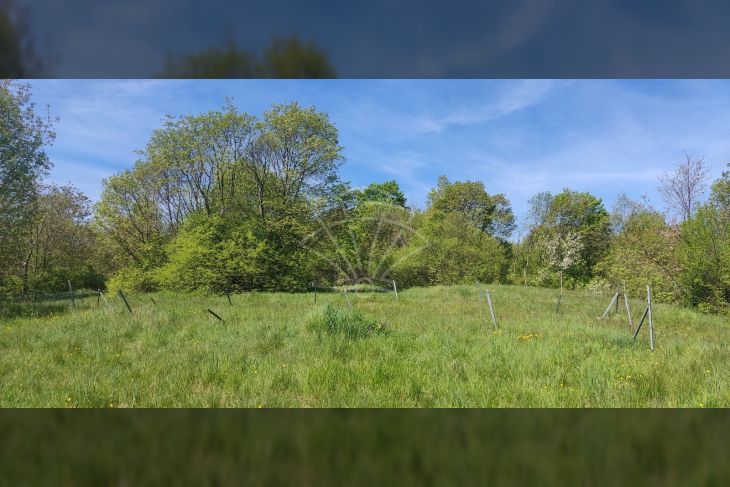 Landwirtschaftlich genutzter Boden, Verkauf, Matulji, Pasjak