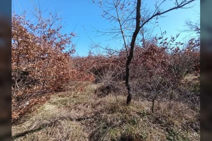 Poljoprivredno zemljište, Prodaja, Vodnjan, Gajana Poljoprivredno zemljište, Prodaja, Vodnjan, Gajana