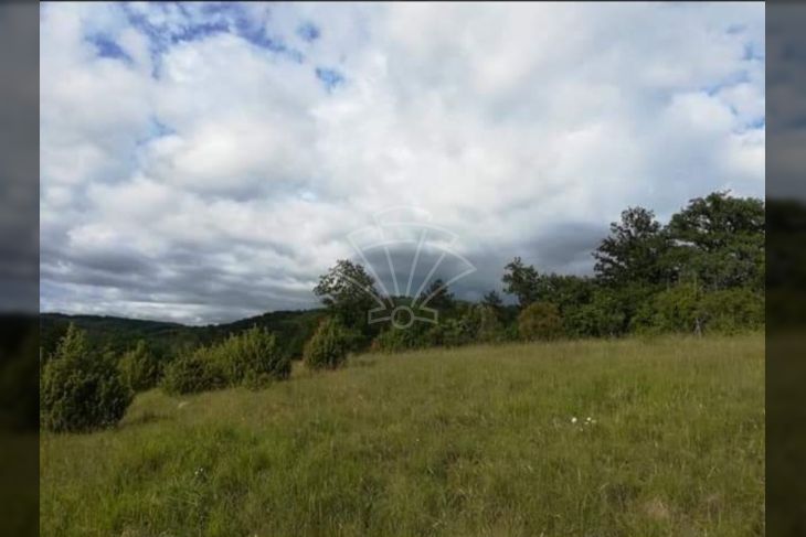 Poljoprivredno zemljište, Prodaja, Oprtalj, Oprtalj Poljoprivredno zemljište, Prodaja, Oprtalj, Oprtalj