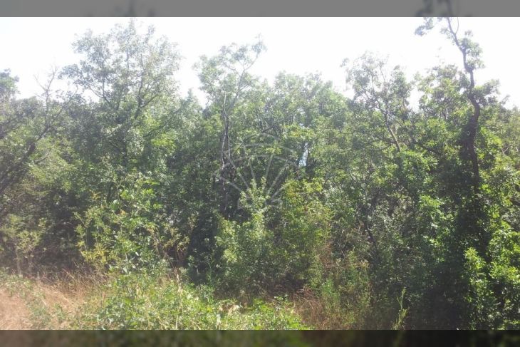 Građevinsko stambeno zemljište, Prodaja, Viškovo, Viškovo