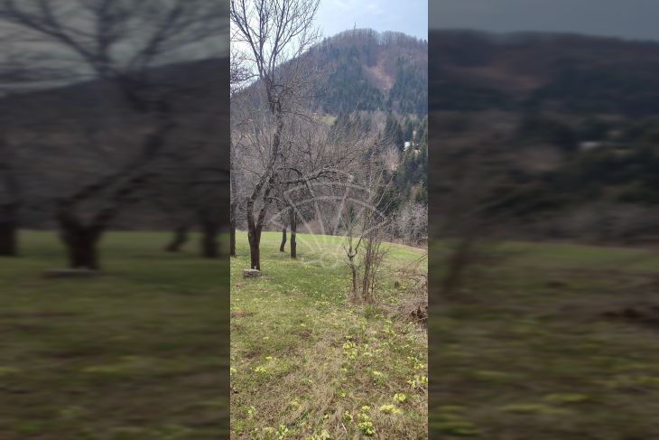 Samostojeća kuća, Prodaja, Ravna gora, Ravna Gora Samostojeća kuća, Prodaja, Ravna gora, Ravna Gora