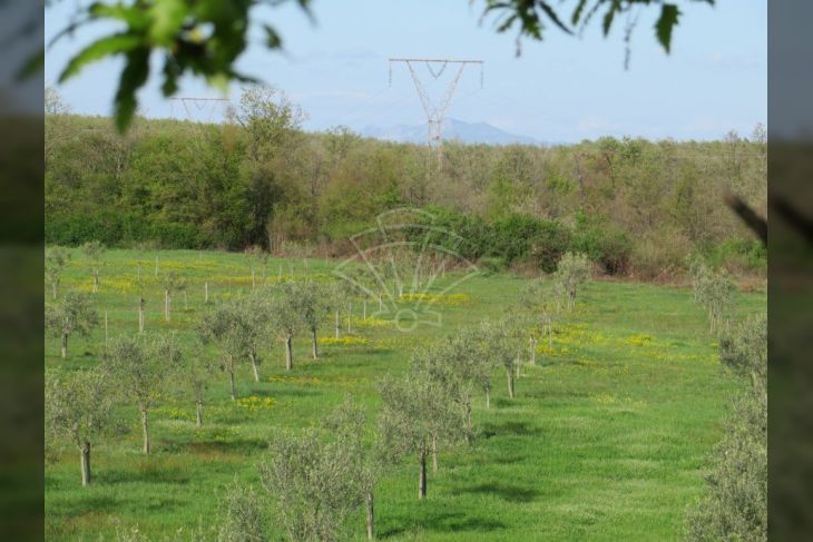 Zemljište - ostalo, Prodaja, Marčana, Marčana