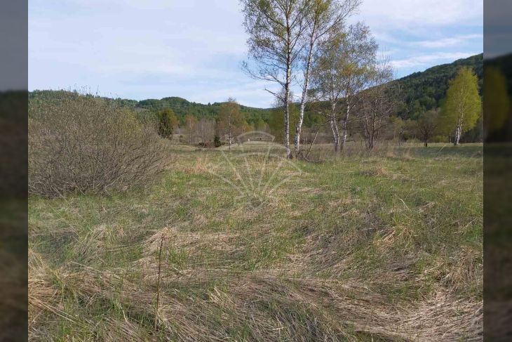 Građevinsko mješovito, Prodaja, Delnice, Zalesina