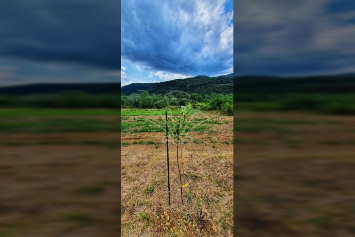 Stambeno poslovni objekt, Prodaja, Buzet, Buzet Stambeno poslovni objekt, Prodaja, Buzet, Buzet