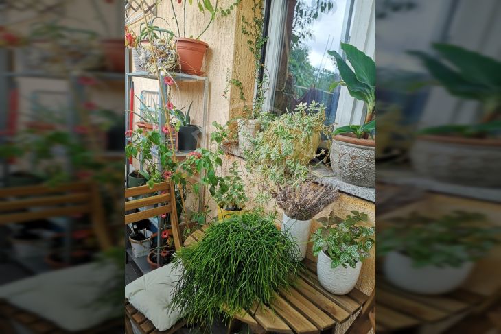 Stan u zgradi, Prodaja, Opatija, Opatija Stan u zgradi, Prodaja, Opatija, Opatija