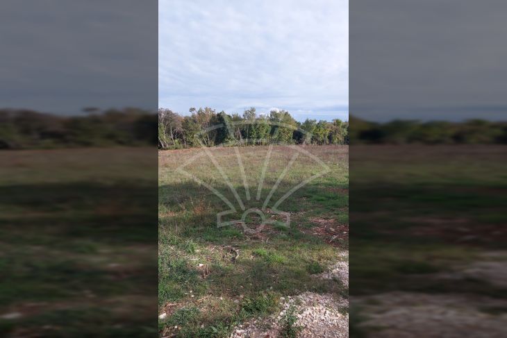 Poljoprivredno zemljište, Prodaja, Ližnjan, Šišan Poljoprivredno zemljište, Prodaja, Ližnjan, Šišan