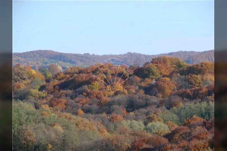 Poljoprivredno, Prodaja, Bakar, Plosna Poljoprivredno, Prodaja, Bakar, Plosna