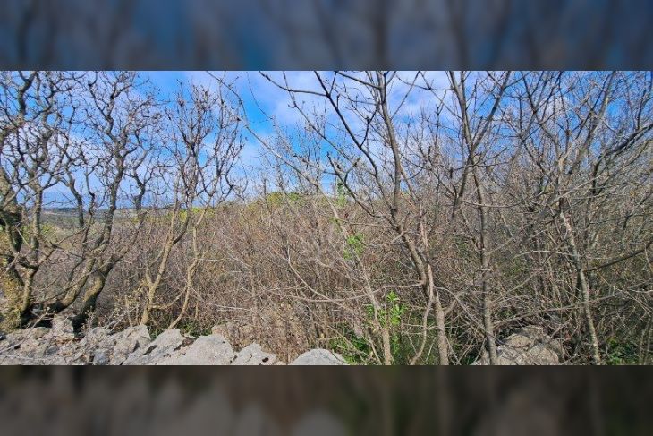 Građevinsko zemljište, Prodaja, Bakar, Hreljin Građevinsko zemljište, Prodaja, Bakar, Hreljin