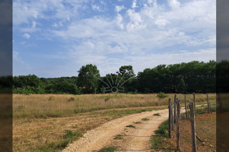 Poljoprivredno zemljište, Prodaja, Poreč, Montižana Poljoprivredno zemljište, Prodaja, Poreč, Montižana