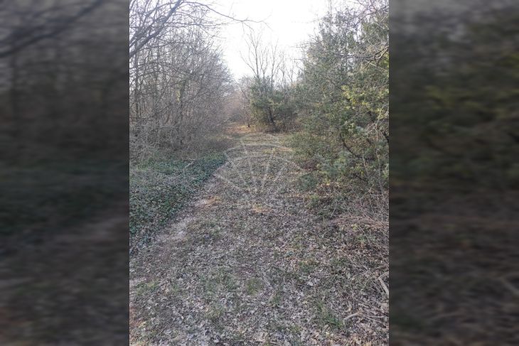 Poljoprivredno zemljište, Prodaja, Barban, Hrboki Poljoprivredno zemljište, Prodaja, Barban, Hrboki