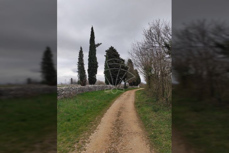 Poljoprivredno zemljište, Prodaja, Barban, Barban Poljoprivredno zemljište, Prodaja, Barban, Barban