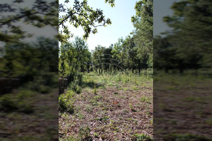 Građevinsko zemljište, Prodaja, Marčana, Rakalj Građevinsko zemljište, Prodaja, Marčana, Rakalj