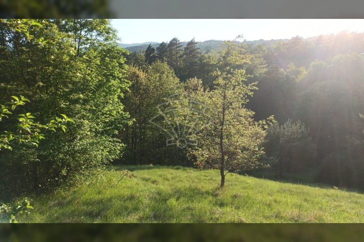Poljoprivredno zemljište, Prodaja, Matulji, Šapjane Poljoprivredno zemljište, Prodaja, Matulji, Šapjane