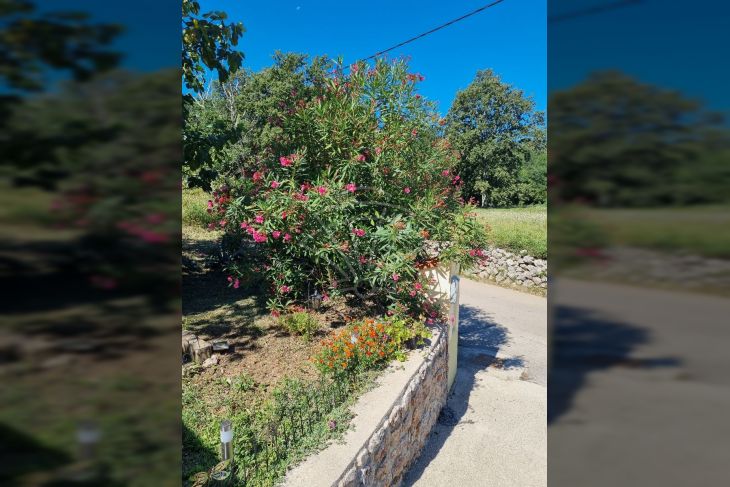 Građevinsko zemljište, Prodaja, Vrbnik, Risika Građevinsko zemljište, Prodaja, Vrbnik, Risika
