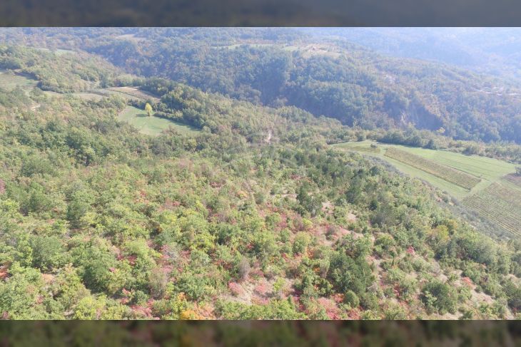 Poljoprivredno zemljište, Prodaja, Cerovlje, Draguć Poljoprivredno zemljište, Prodaja, Cerovlje, Draguć