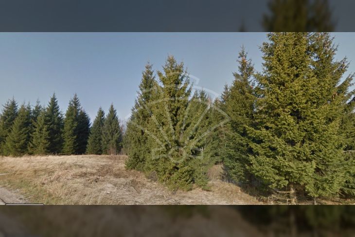 Građevinsko zemljište, Prodaja, Ravna gora, Leskova Draga Građevinsko zemljište, Prodaja, Ravna gora, Leskova Draga