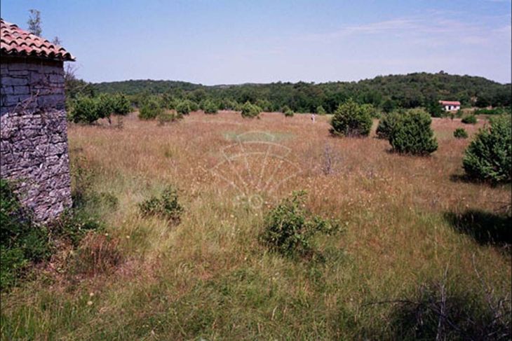 Građevinsko, Prodaja, Kanfanar, Šorići