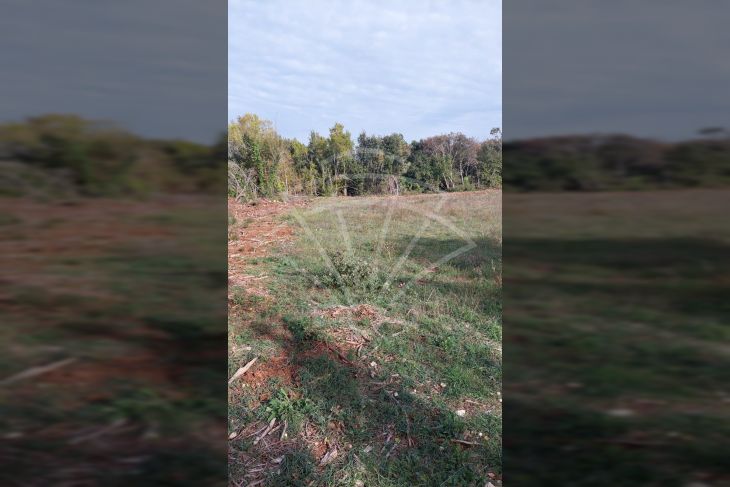 Poljoprivredno zemljište, Prodaja, Ližnjan, Šišan Poljoprivredno zemljište, Prodaja, Ližnjan, Šišan