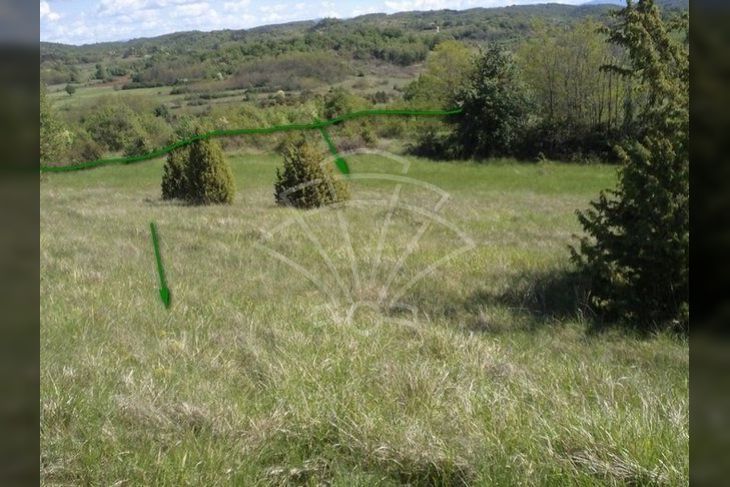 Poljoprivredno zemljište, Prodaja, Motovun, Motovun Poljoprivredno zemljište, Prodaja, Motovun, Motovun