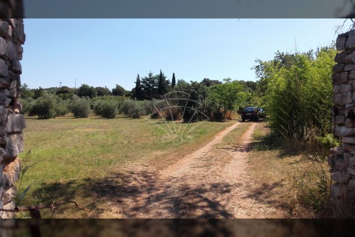 Šuma, Prodaja, Rovinj, Rovinj Šuma, Prodaja, Rovinj, Rovinj
